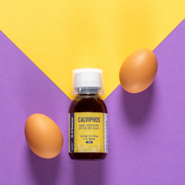 Calviphos soutient la qualité de la coquille des œufs et l’ossification du squelette lors de la croissance.